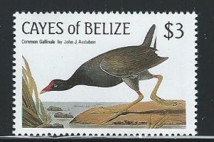 Cayes of Belize  mnh sc 25