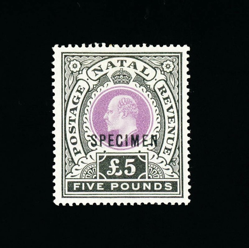[NATAL] 1902 KEVII: £5 SG 144 / SC 98 ‘SPECIMEN’ overprint (MH)