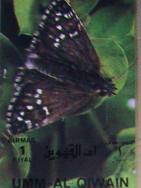 ​UMM AL QIWAIN STAMP- COLORFUL LOVELY BUTTERFLY LARGE FULL-MNH SHEET VERY FINE