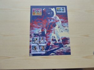 New Apollo 11 Pop Art Photograph  8 x 11  USA & Maldives and Paraguay Stamps