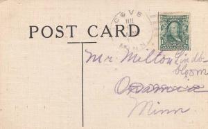 United States Minnesota Cove c1908 doane 2/2  1893-1916  PC.