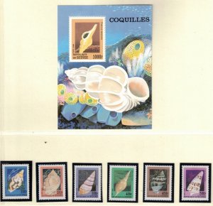 GUINEA - SET OF 6+S/S NH ISSUE OF 1998 - SEA SHELLS - (WG08)