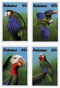 32757 MNH BAHAMAS 1990 FAUNA. AVES