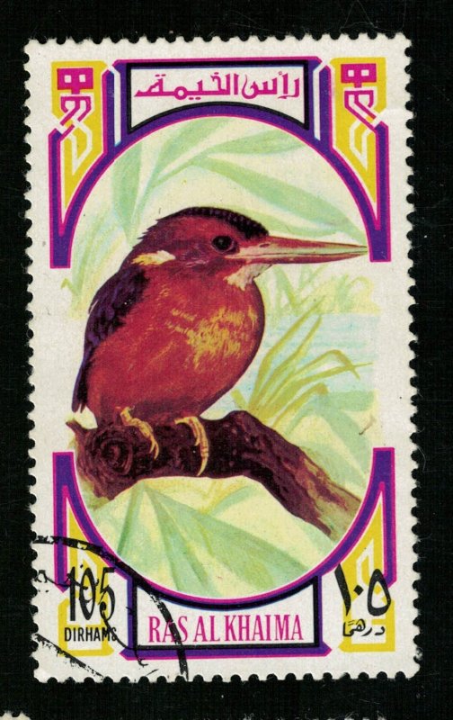 Bird, Ras al-Khaimah (ТS-2257)