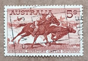 Australia #331 5sh Northern Territory Cattle Industry USED (1961)