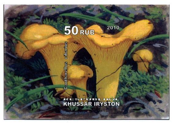 OSSETIA RUSSIA LOCAL SHEET IMPERF MUSHROOMS