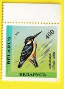 BELARUS SCOTT#77 1994 40r BIRD WTAB  -MNH