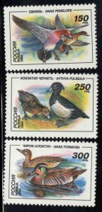 Russia Scott 6220-6222  MNH** Duck set