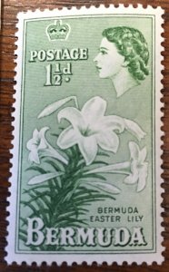 1953 Bermuda Set of 3 Littleton Stamp Co 8-E 1d 1/2d 1 1/2 d Crowned