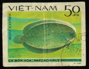 Fish 50xu (T-5320)