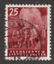Liechtensteiner stallions