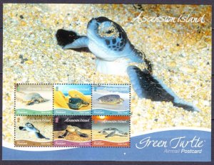 2015 Ascension 1271-1276/B77 Marine fauna - Turtles 13,00 €