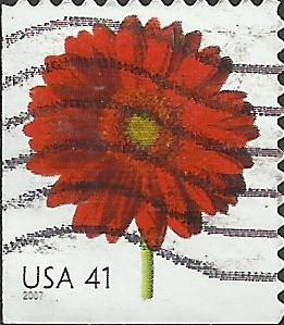 # 4181 USED RED GERBERA DAISY