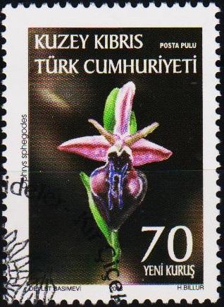 Cyprus(Turkish). 2008 70k Fine Used