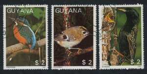 Guyana Birds 3v 1987 CTO