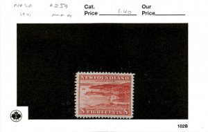 Newfoundland, Postage Stamp, #259 Mint Hinged, 1942 (AB)