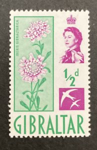 Gibraltar 1960 #147, Candytuft, MNH.