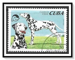 Caribbean #3595 Dogs CTO