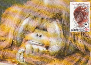 Indonesia 1989 Maxicard Sc #1383 500r Orangutans WWF