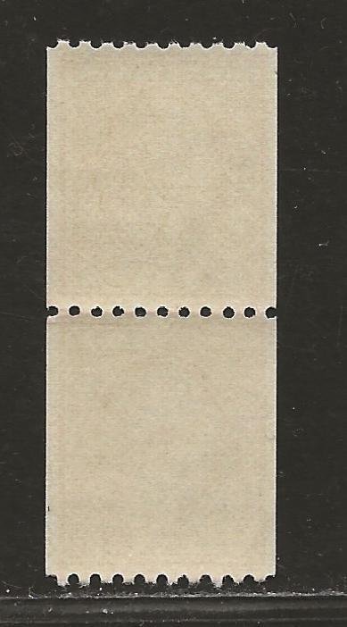 UNITED STATES SC#488  PAIR    VF/MNH