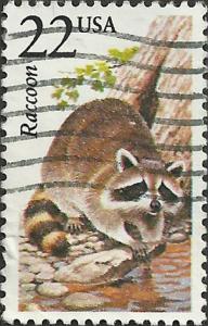 # 2331 USED RACCOON