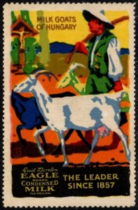 Selo pôster vintage dos EUA leite cabras Hungria marca águia Borden leite condensado-
