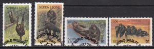 WWF Sierra Leone # 586-589, Chimpanzees, Used Set