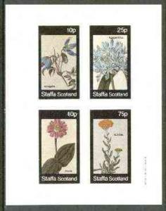 Staffa 1982 Flowers #32 (Atragene, Agapanthus, Zinnia &am...