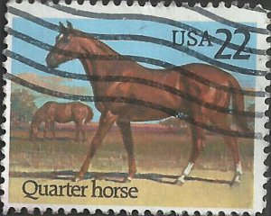 # 2155 USED QUARTER HORSE