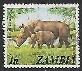 Zambia # 135 - Black Rhinoceros - used.....{BE13}