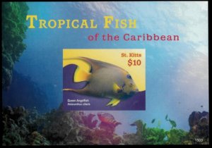 St. Kitts 2015 - Tropical Fish - IMPERF Souvenir Stamp Sheet - MNH