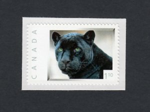 BLACK PANTHER, LEOPARD = 1.10 rate picture postage stamp Canada 2013 [p4r4/2]