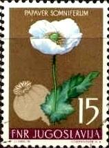 Medicinal Plant, Poppy, Yugoslavia stamp SC#426 Used