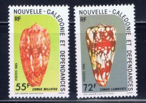 New Caledonia 521-22 NH 1985 Sea Shells 