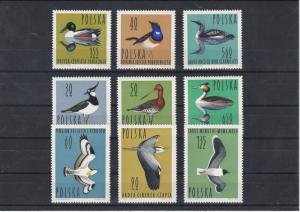 Poland 1964 MNH Birds Stamps Ref: R6944