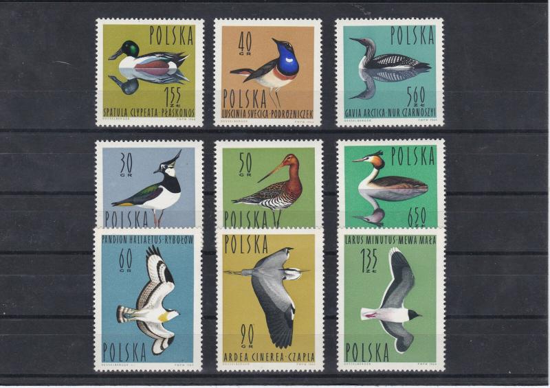 Poland 1964 MNH Birds Stamps Ref: R6944