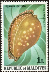 Maldive Islands 786 - Mint-NH - 1L Rare Spotted Cowrie (1979)