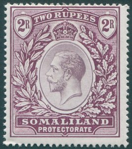 Somaliland Protectorate 1919 2r dull purple & purple SG70 unused