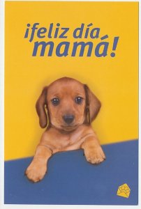 Postal stationery Cuba 2007 Dog - Puppy