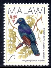 Malawi - 1988 Birds 7t MNH** SG 792