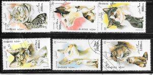 Afghanistan 1996  Cat  issue (CTO) CV $5.00