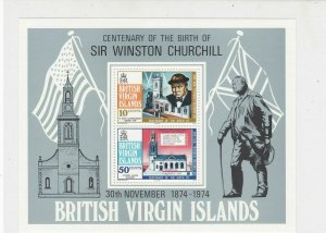 British Virgin Islands Centenary Sir Winston Churchill MNH Stamps Sheet Ref27136