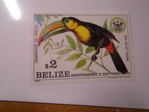 Belize  #  599  MNH  Birds
