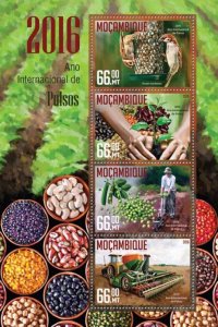 MOZAMBIQUE - 2016 - Int. Year of Pulses - Perf 4v Sheet -Mint Never Hinged