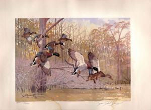 ARKANSAS #1 1981 DUCK STAMP PRINT MALLARDS  Water Damaged Lee LeBlanc