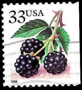 # 3297 USED BLACKBERRIES