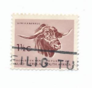 South Africa 1961  Scott  256 used - 1.1/2c, Afrikander Bull