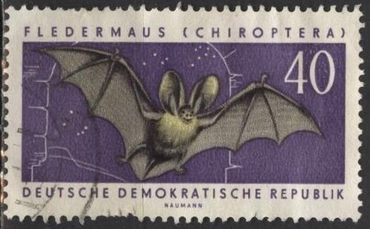 Germany DDR 594 (used) 40pf bat (1962)