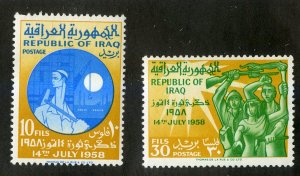 IRAQ 248-9 MH SCV $1.70 BIN $1.00 MILITARY