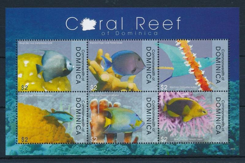 [29765] Dominica 2009 Marine Life Coral reef Fish MNH Sheet
